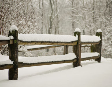 Winter - Fence